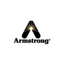 美国阿姆斯壮Armstrong阀门