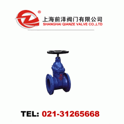 RVCX/Z45X暗杆闸阀