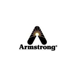 美国阿姆斯壮Armstrong阀门