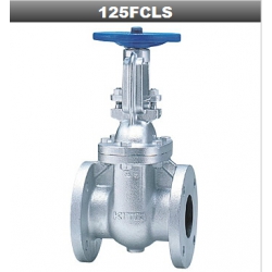 KITZ北泽125FCLS铸铁法兰闸阀