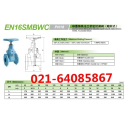 KITZ那种球墨铸铁闸阀EN16SMBW