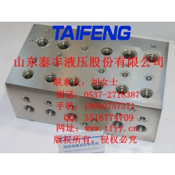 泰丰液压TCV典型螺纹插装阀集成块
