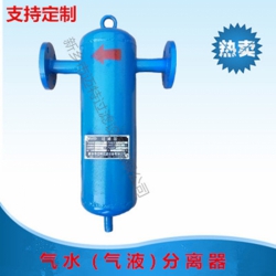 DN80 DN100 将气体除杂除水的气液分离器
