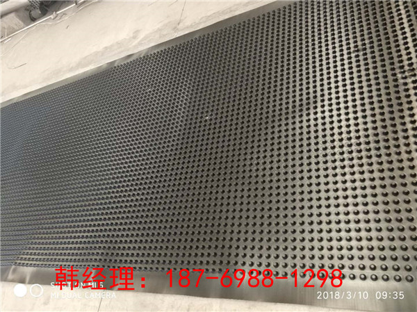 廊坊地下车库底板排水板,沧州塑料凸片定型板