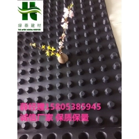 南京车库排水板+欢迎您-HDPE绿化阻根板
