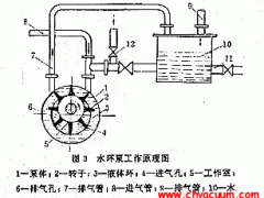 水环式真空泵的工作原理图及介绍