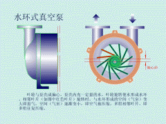 水环式真空泵结构图及介绍