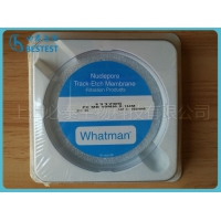 GE whatman  聚碳酸酯膜 PC膜 111705