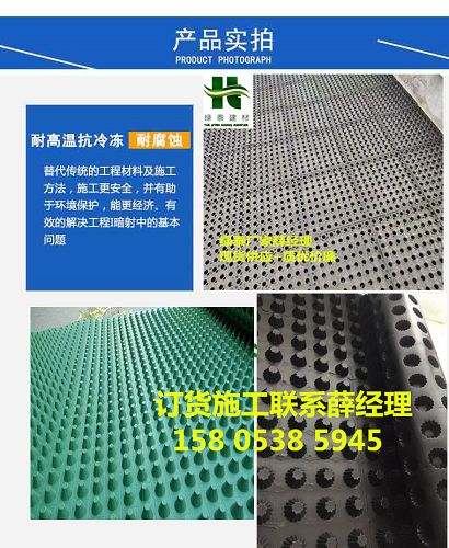 绿泰产品实拍1