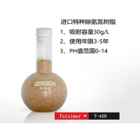 废水蒸发后去除氨氮树脂工艺 杜笙树脂T-42